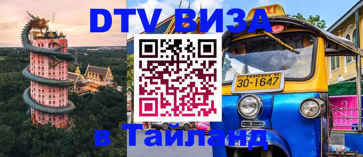 Сколько стоит DTV виза — актуальные цены, оформление даже без документов - Махачкала  04.10.2025 